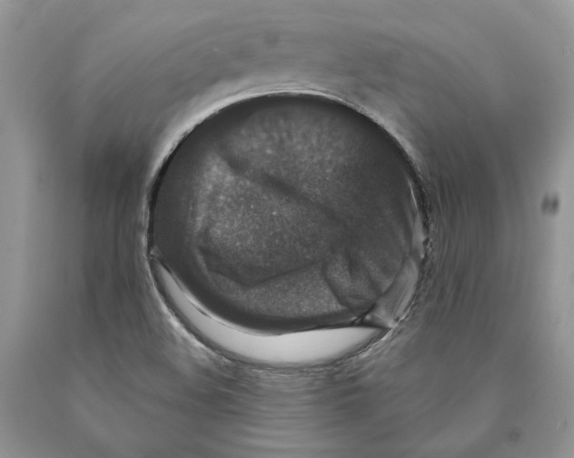 X0000089961508200707271850