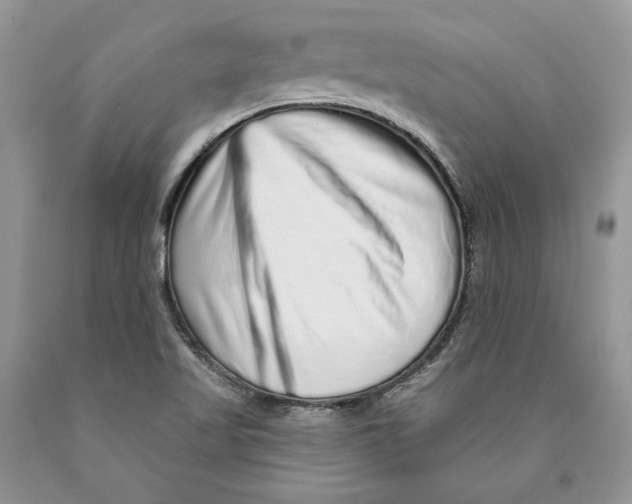 X0000089961509200707271850