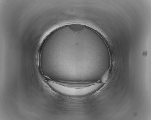 X0000089961510200707271850