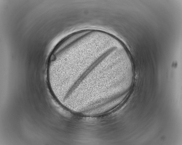 X0000089961511200707271850