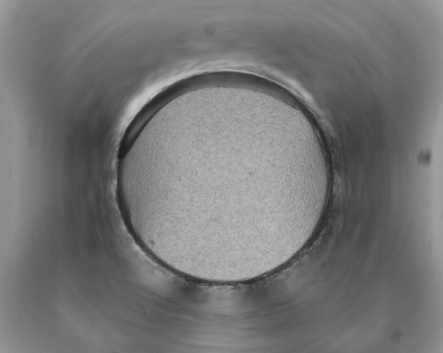 X0000089961512200707271850