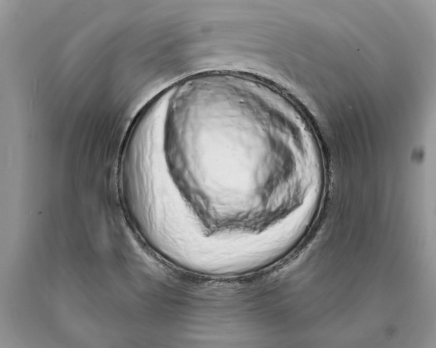 X0000089961513200707271850