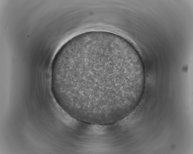 X0000089961514200707271850