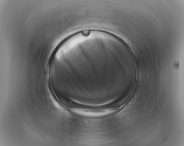 X0000089961515200707271850