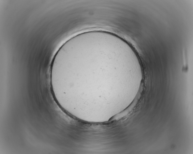 X0000089961516200707271850