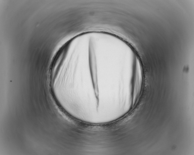 X0000089961517200707271850