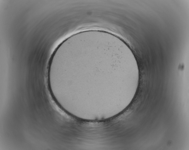 X0000089961518200707271850