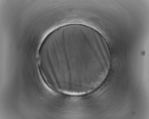 X0000089961519200707271850