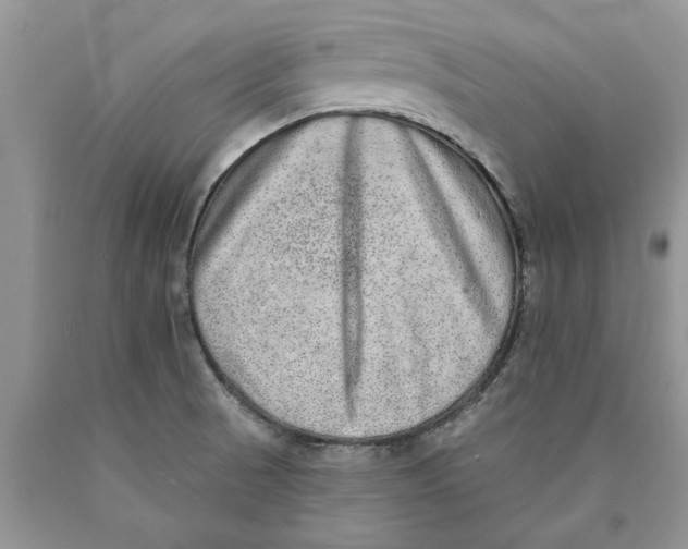 X0000089961521200707271850