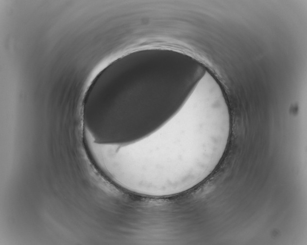 X0000089961522200707271850