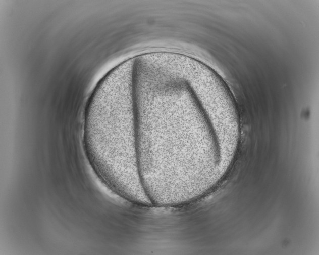 X0000089961523200707271850