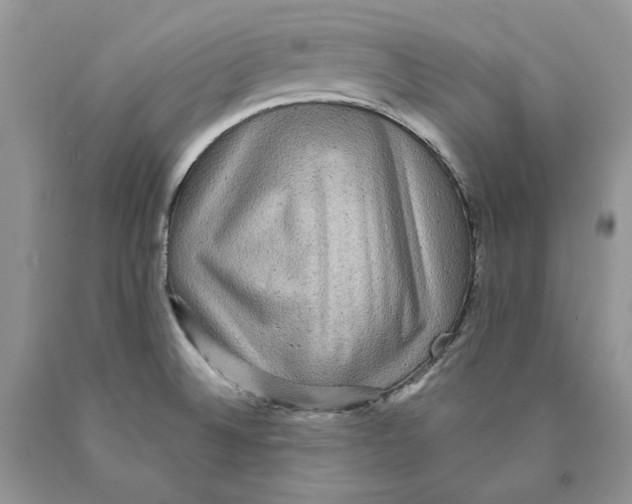 X0000089961524200707271850