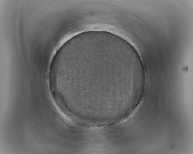 X0000089961525200707271850