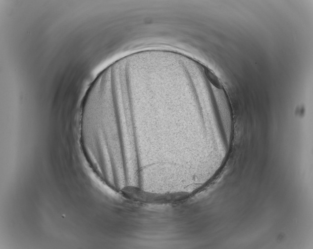 X0000089961526200707271851