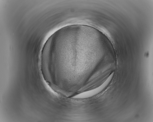 X0000089961528200707271851