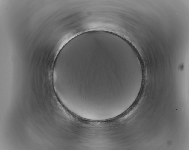 X0000089961529200707271851