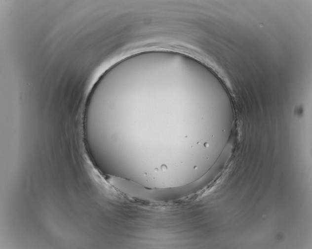 X0000089961530200707271851