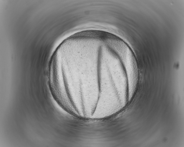 X0000089961531200707271851