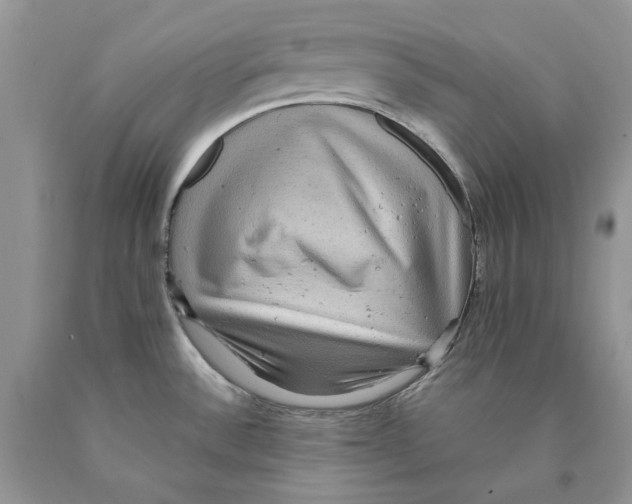 X0000089961532200707271851