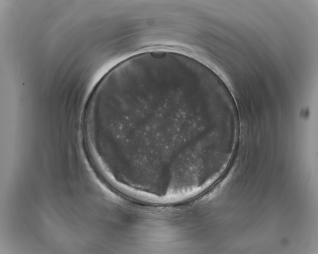 X0000089961533200707271851