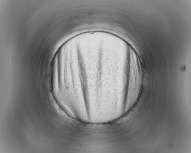 X0000089961534200707271851