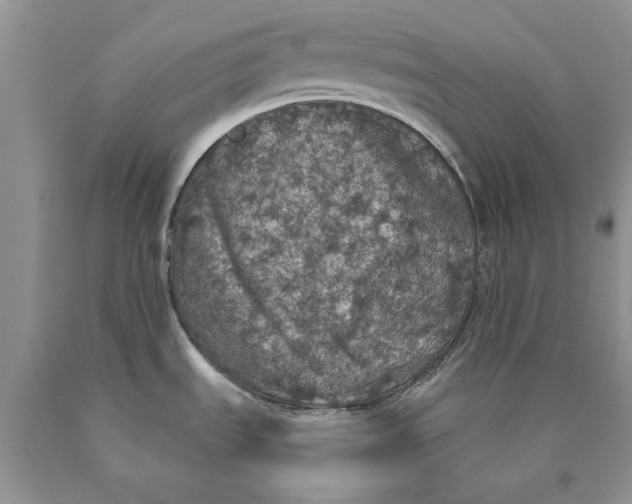 X0000089961535200707271851