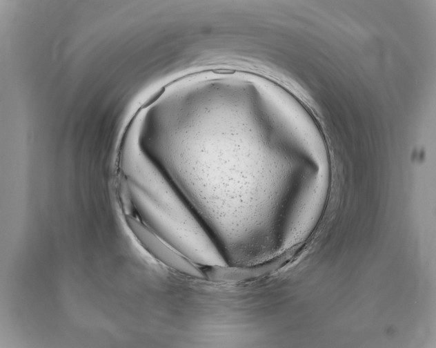 X0000089961536200707271851