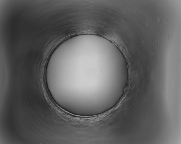 X0000089970001200706291113