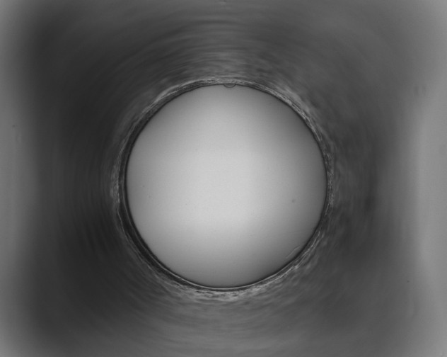 X0000089970002200706291113