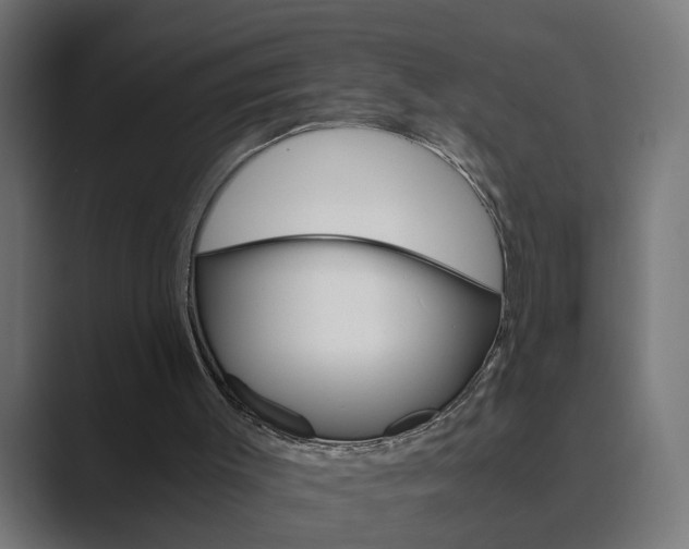 X0000089970003200706291113