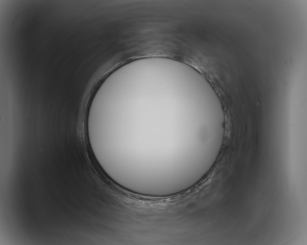 X0000089970004200706291113