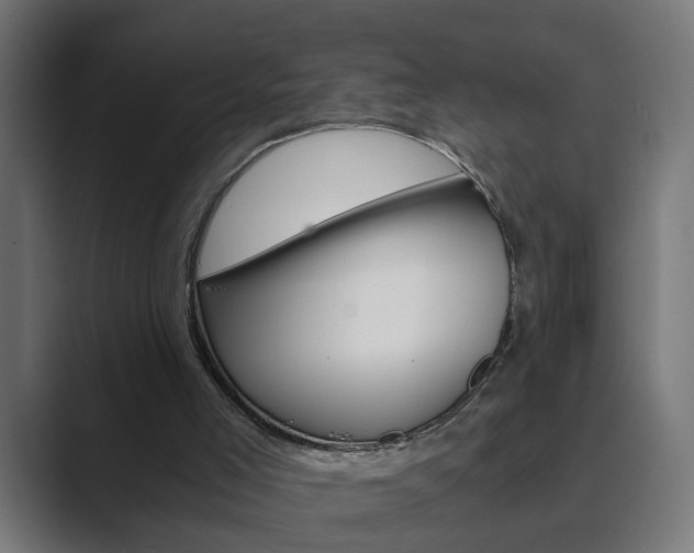 X0000089970005200706291113
