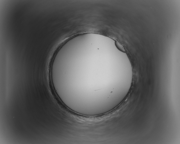 X0000089970006200706291113