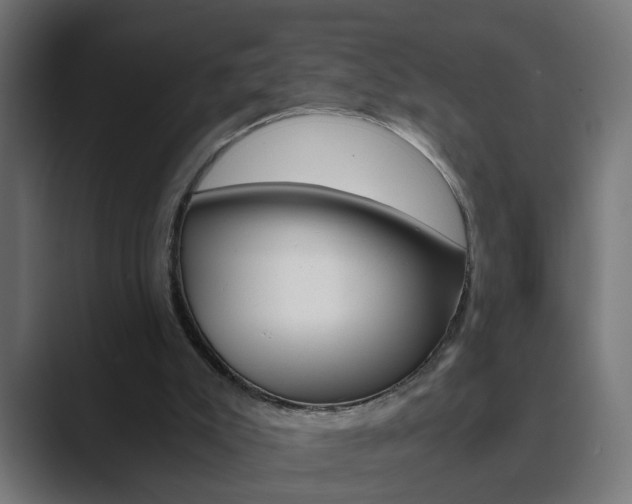 X0000089970007200706291113