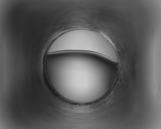 X0000089970008200706291113