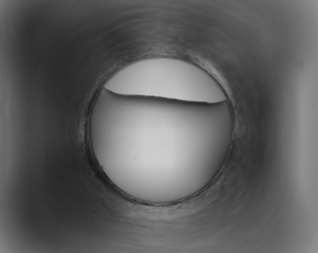 X0000089970010200706291113