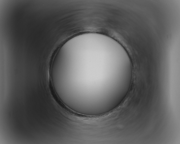X0000089970011200706291113