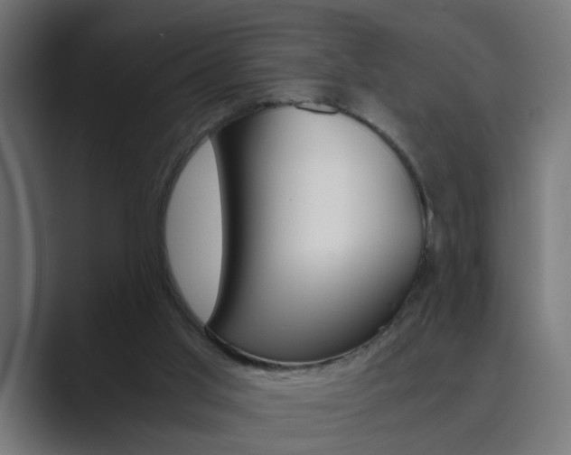 X0000089970013200706291113
