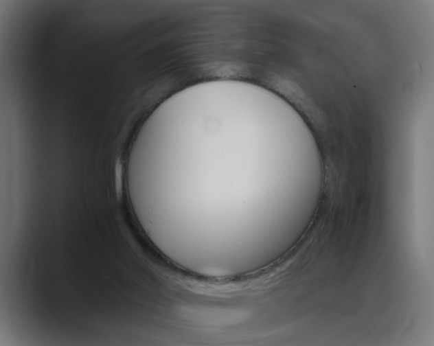 X0000089970014200706291113