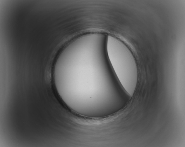 X0000089970015200706291113