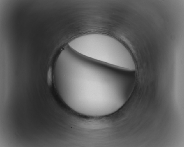 X0000089970020200706291112