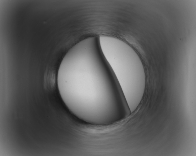 X0000089970021200706291112