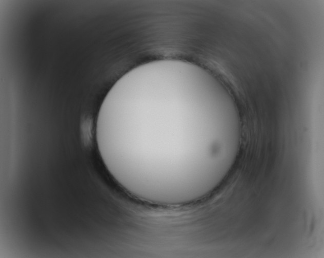 X0000089970024200706291112