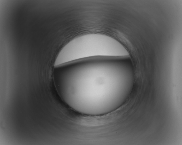 X0000089970025200706291112