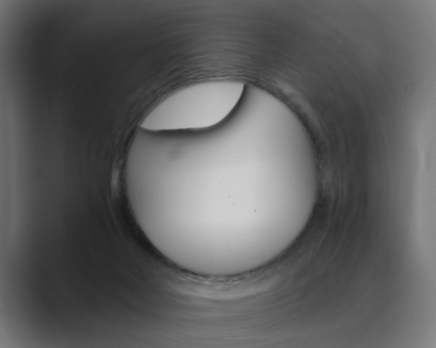 X0000089970026200706291112