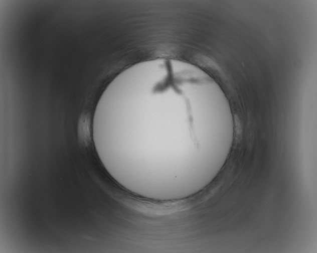 X0000089970028200706291112