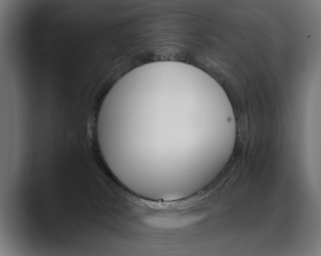 X0000089970038200706291112