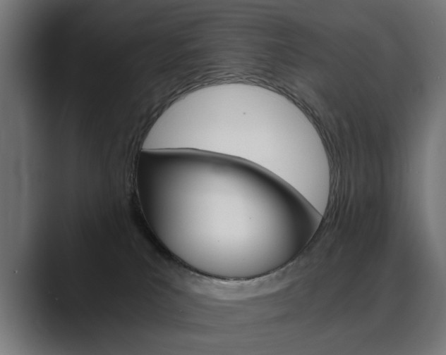 X0000089970039200706291112