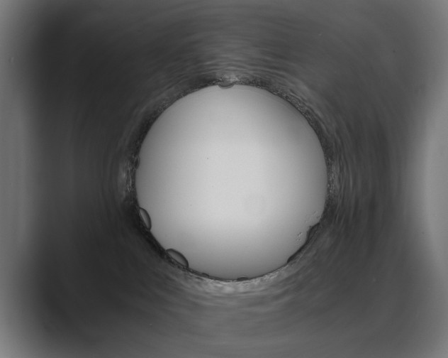 X0000089970043200706291112