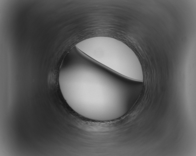 X0000089970044200706291112
